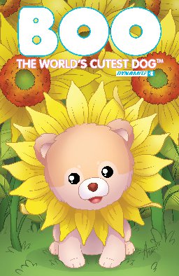 Boo, The World's Cutest Dog #3