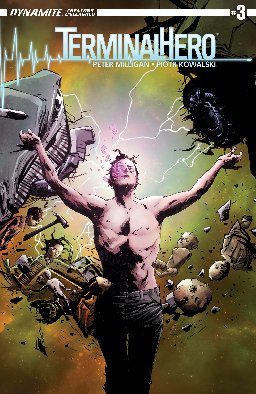 poster for Terminal Hero #3
