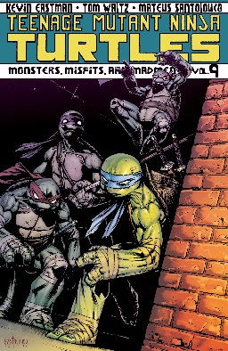 poster for Teenage Mutant Ninja Turtles, Volume 9
