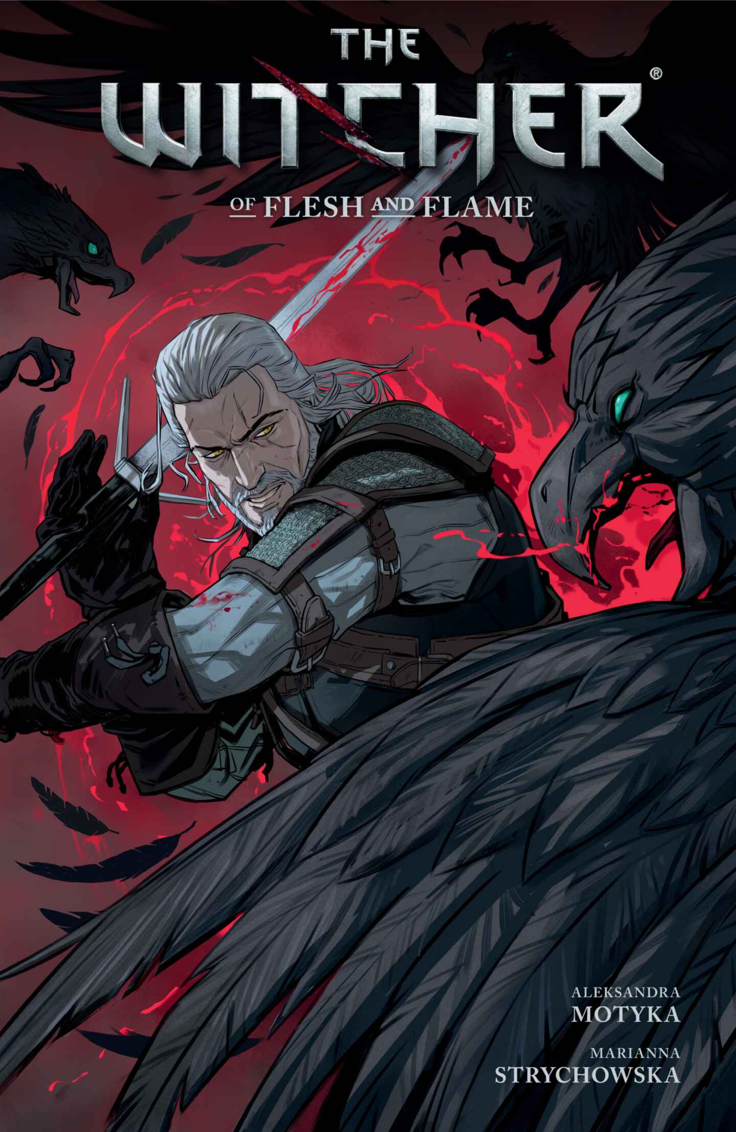 The Witcher, Volume 4