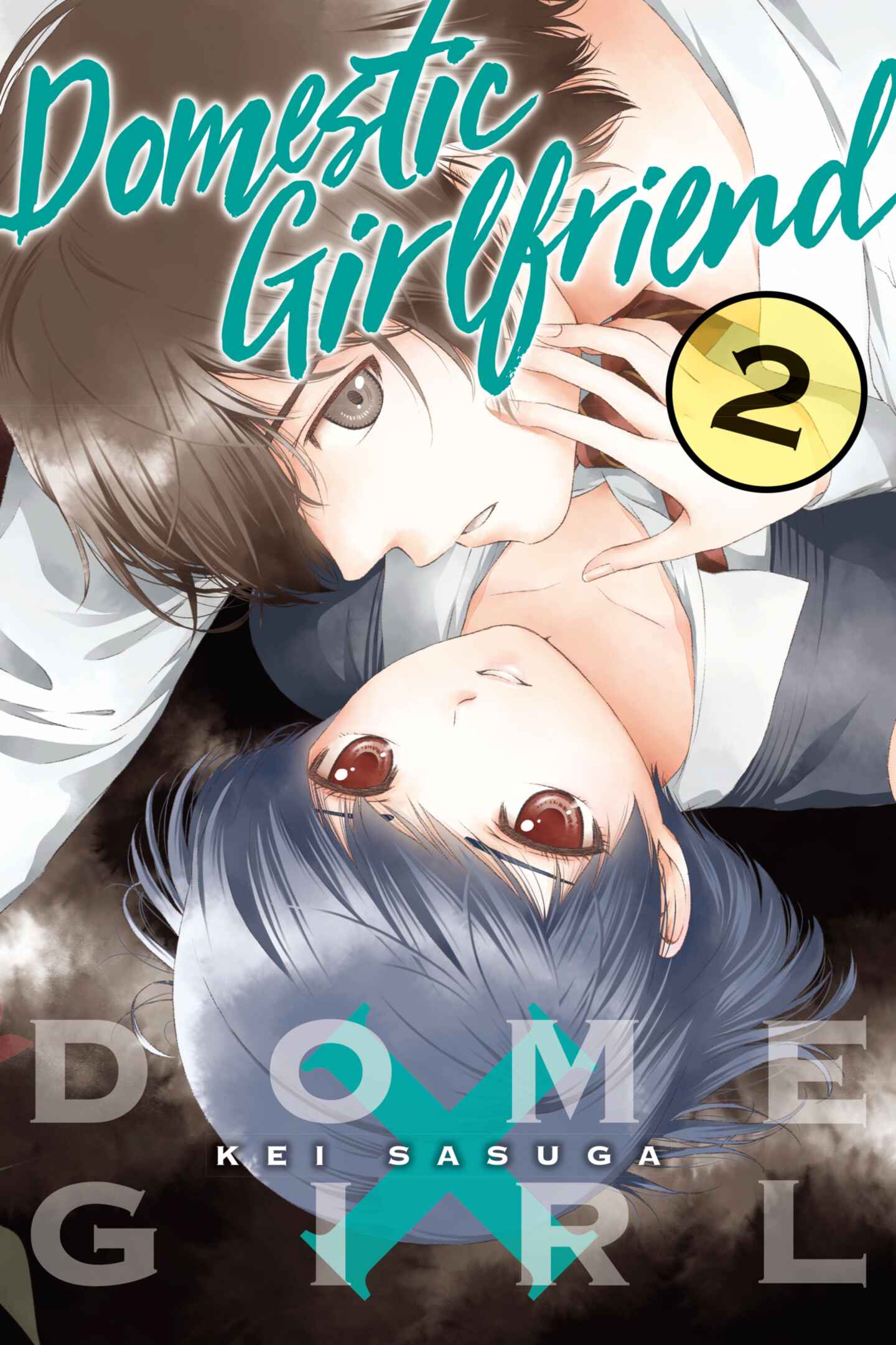 poster for Domestic Girlfriend, Volume 2