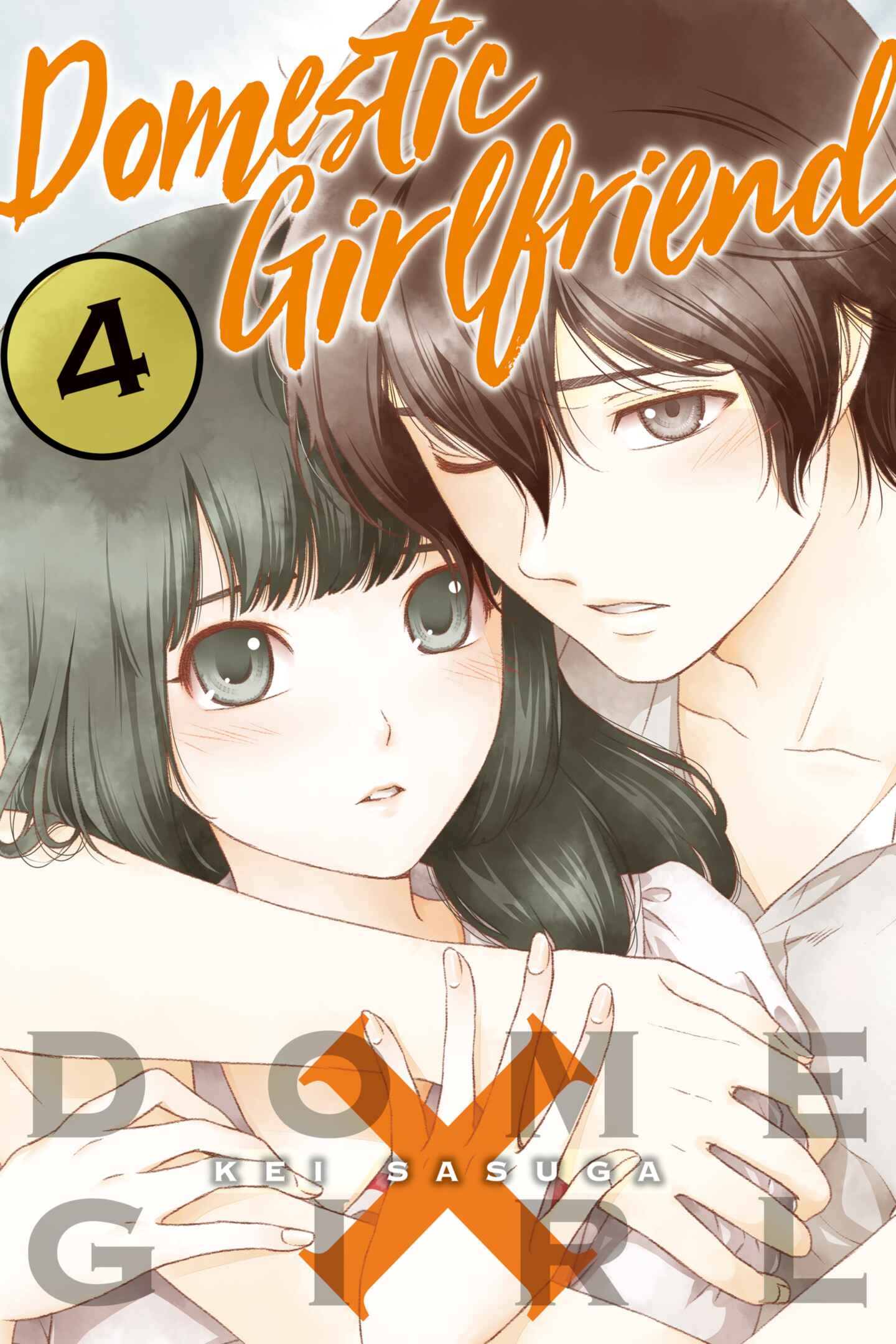 poster for Domestic Girlfriend, Volume 4