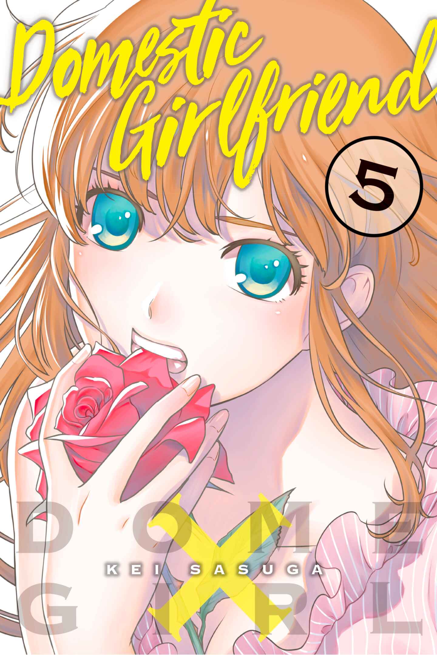 poster for Domestic Girlfriend, Volume 5