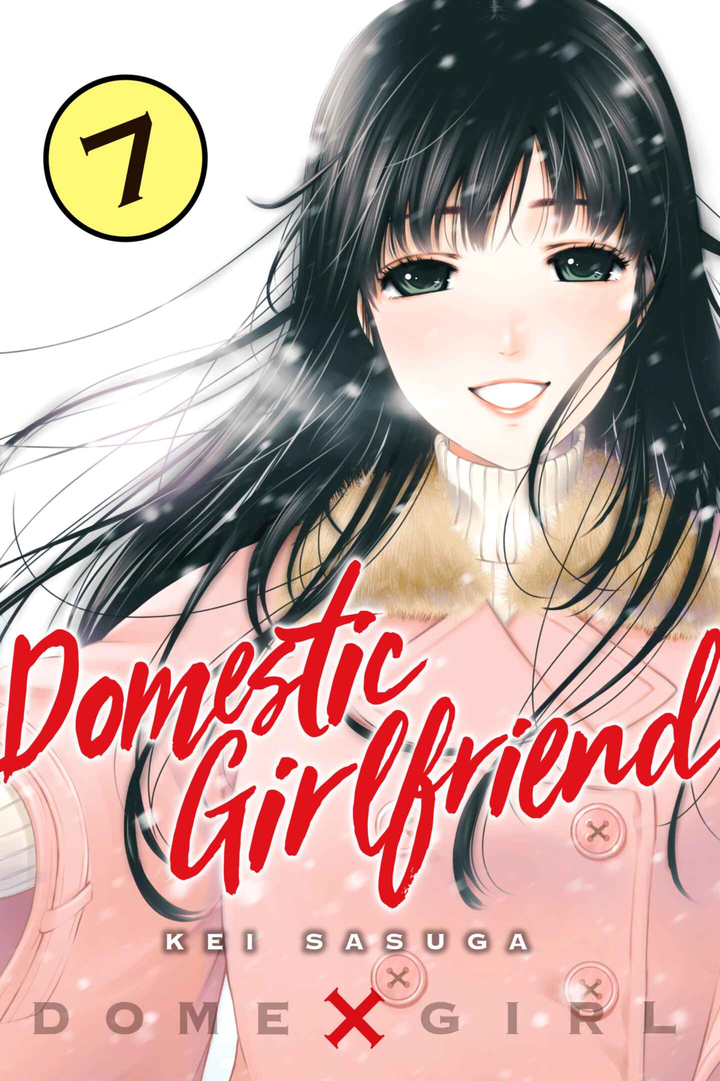poster for Domestic Girlfriend, Volume 7