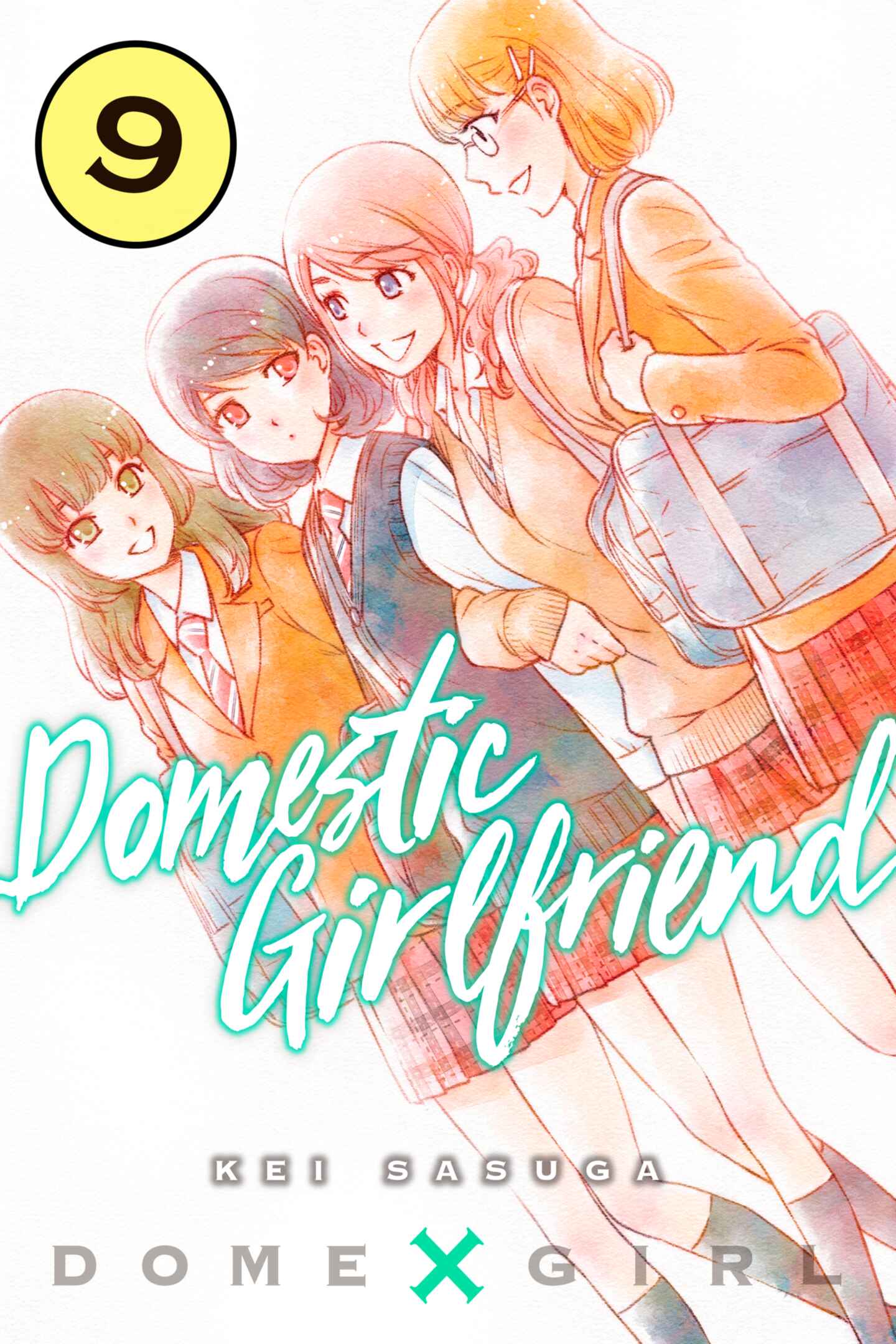 poster for Domestic Girlfriend, Volume 9
