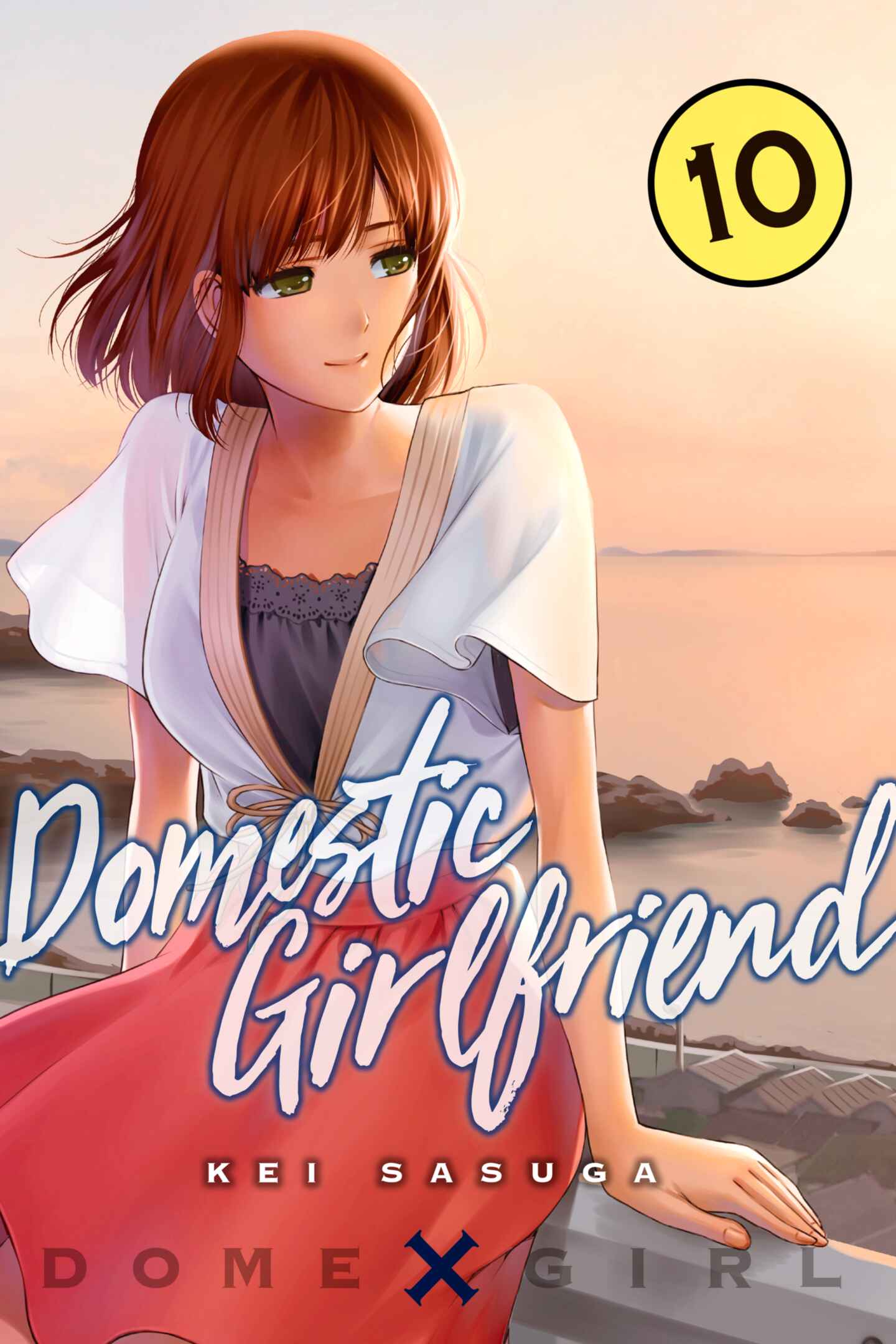 poster for Domestic Girlfriend, Volume 10