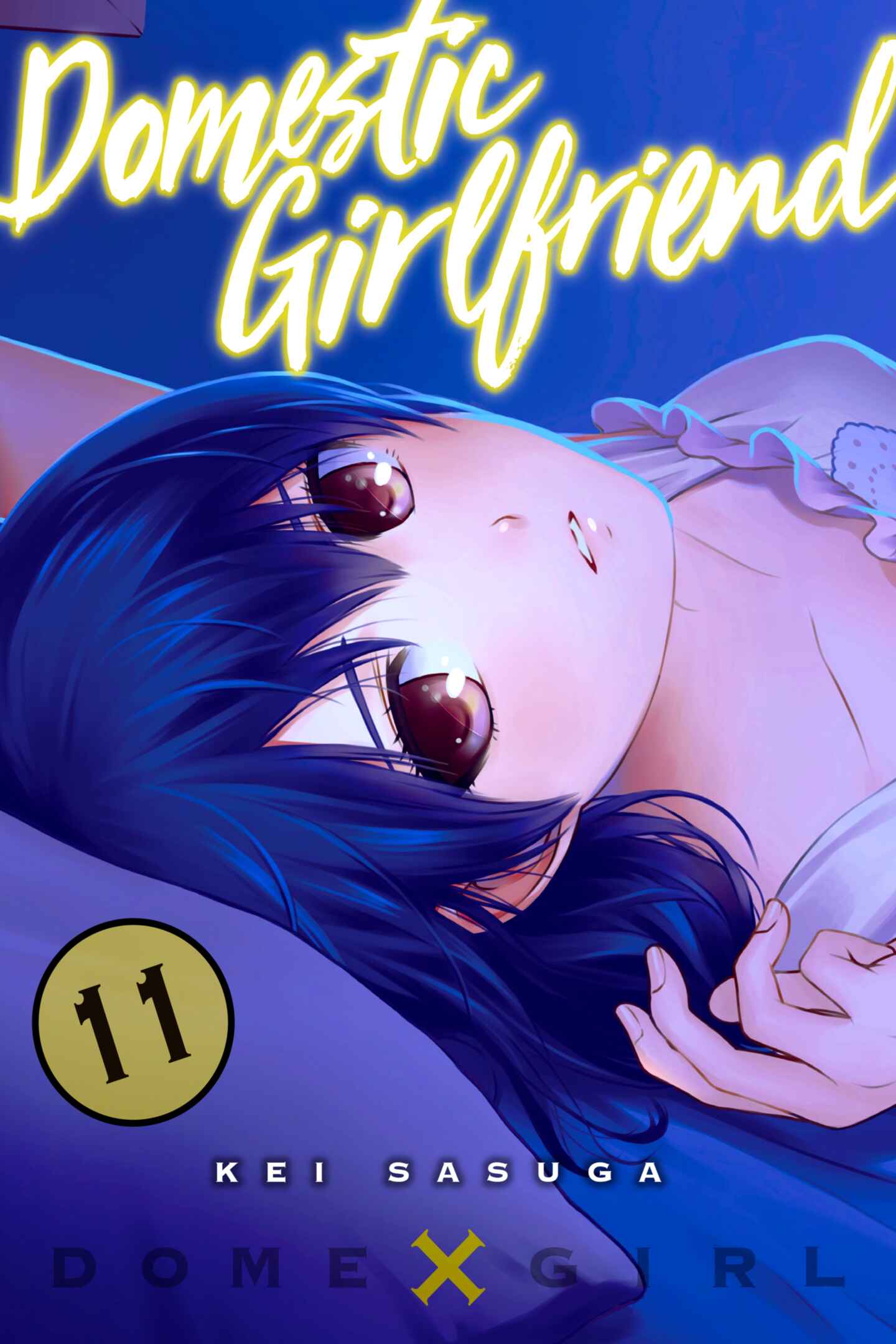 poster for Domestic Girlfriend, Volume 11
