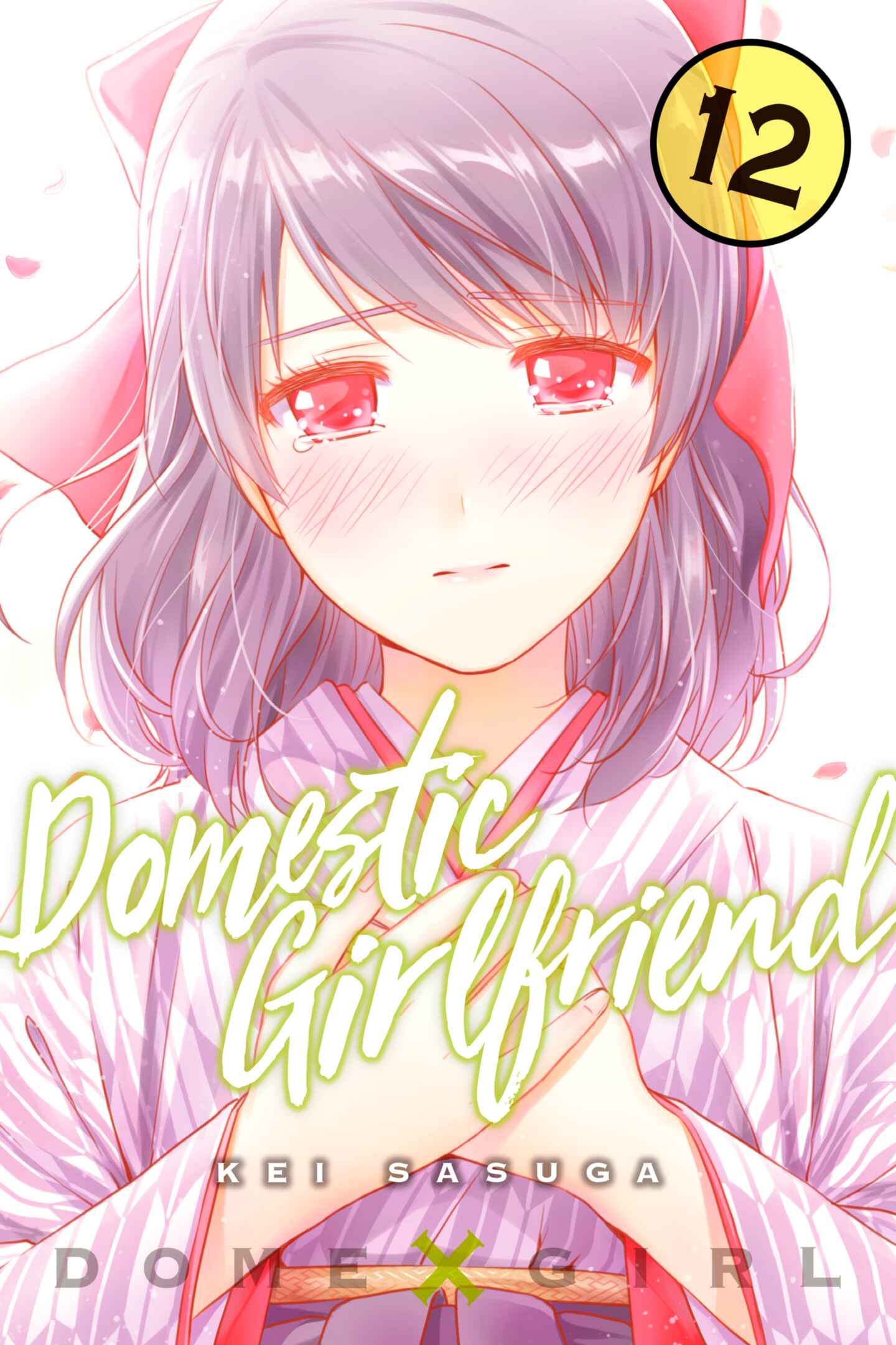 poster for Domestic Girlfriend, Volume 12