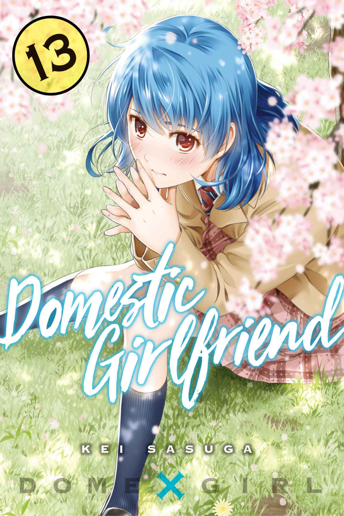 poster for Domestic Girlfriend, Volume 13