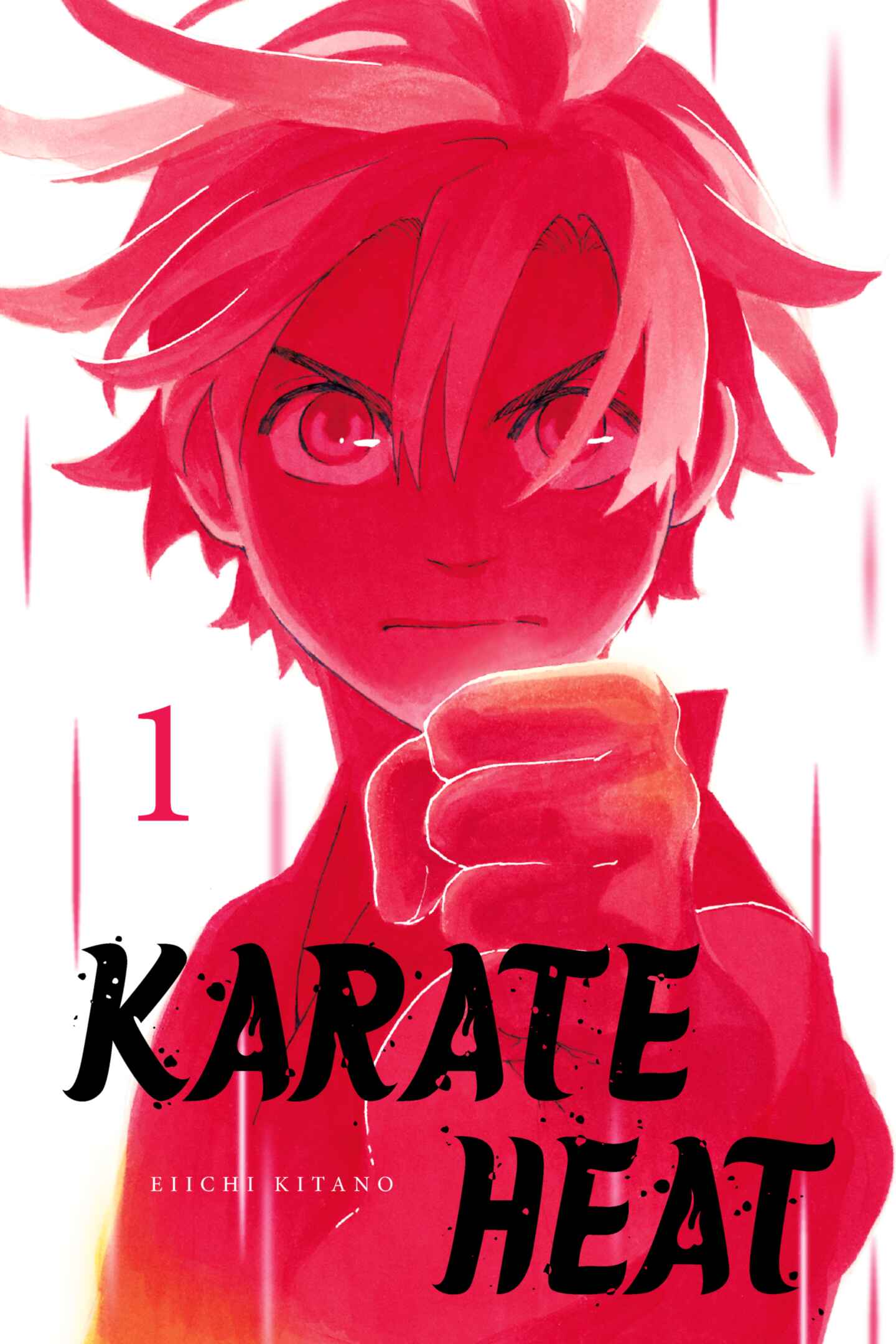 cover for Karate Heat, Volume 1