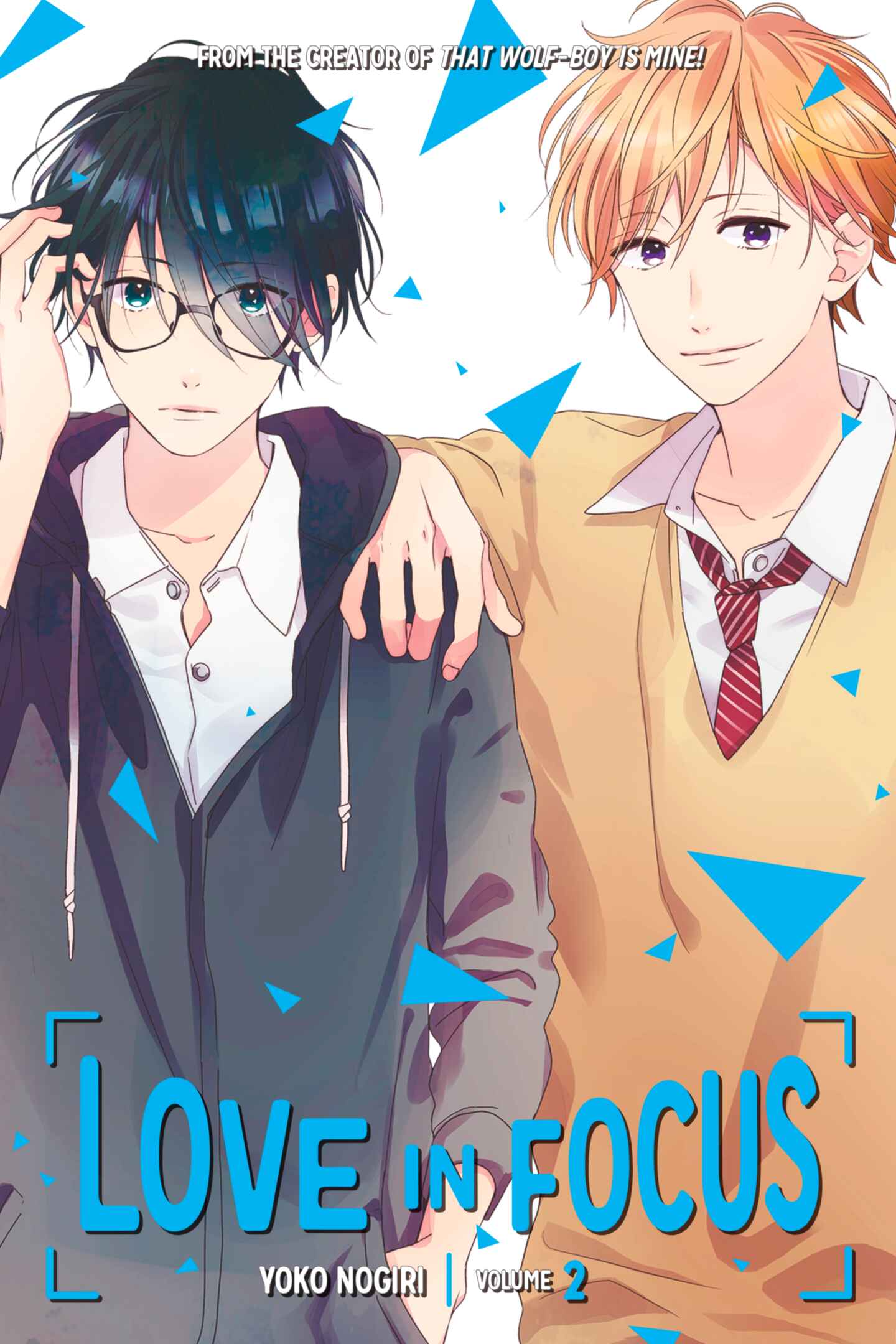 poster for Love in Focus, Volume 2