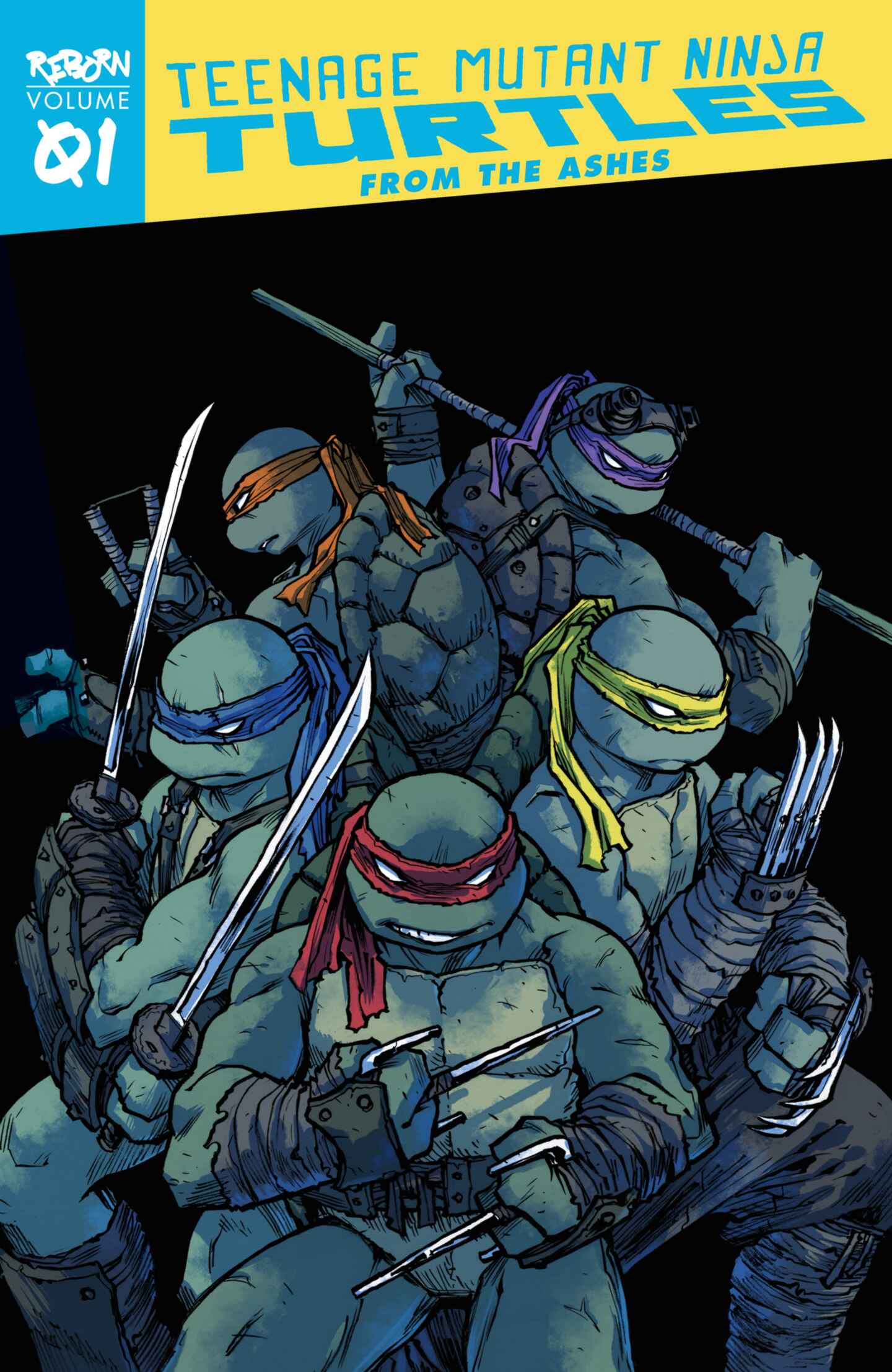 cover for Teenage Mutant Ninja Turtles: Reborn, Volume 1