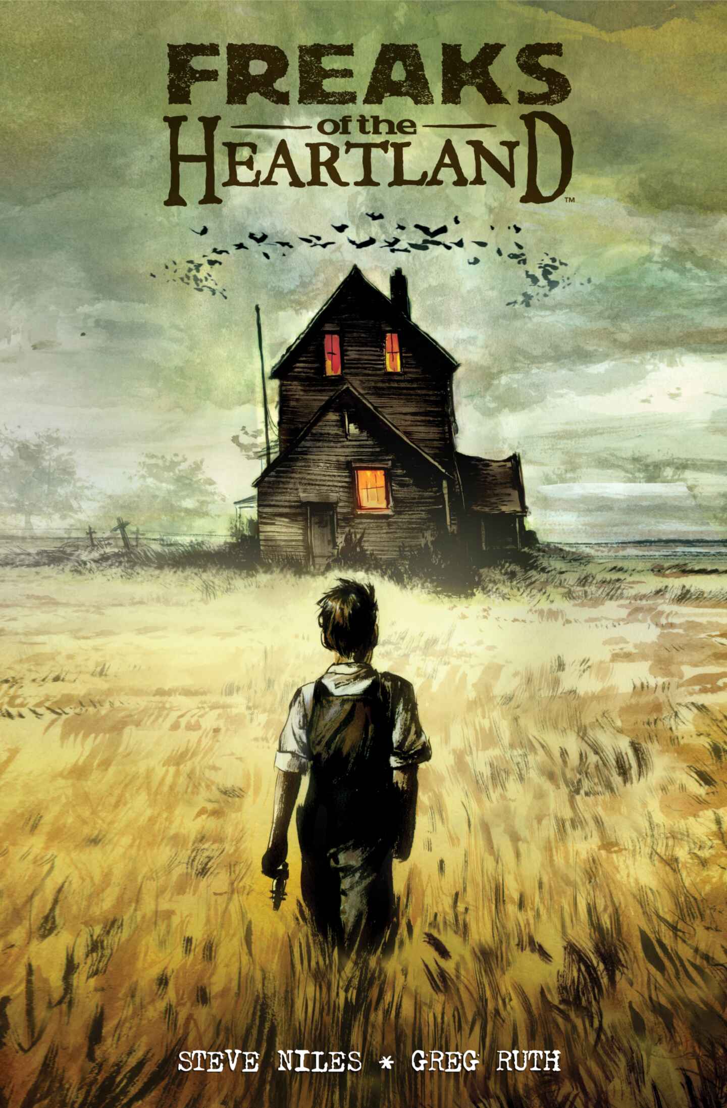 cover for Freaks of the Heartland, Volume 1