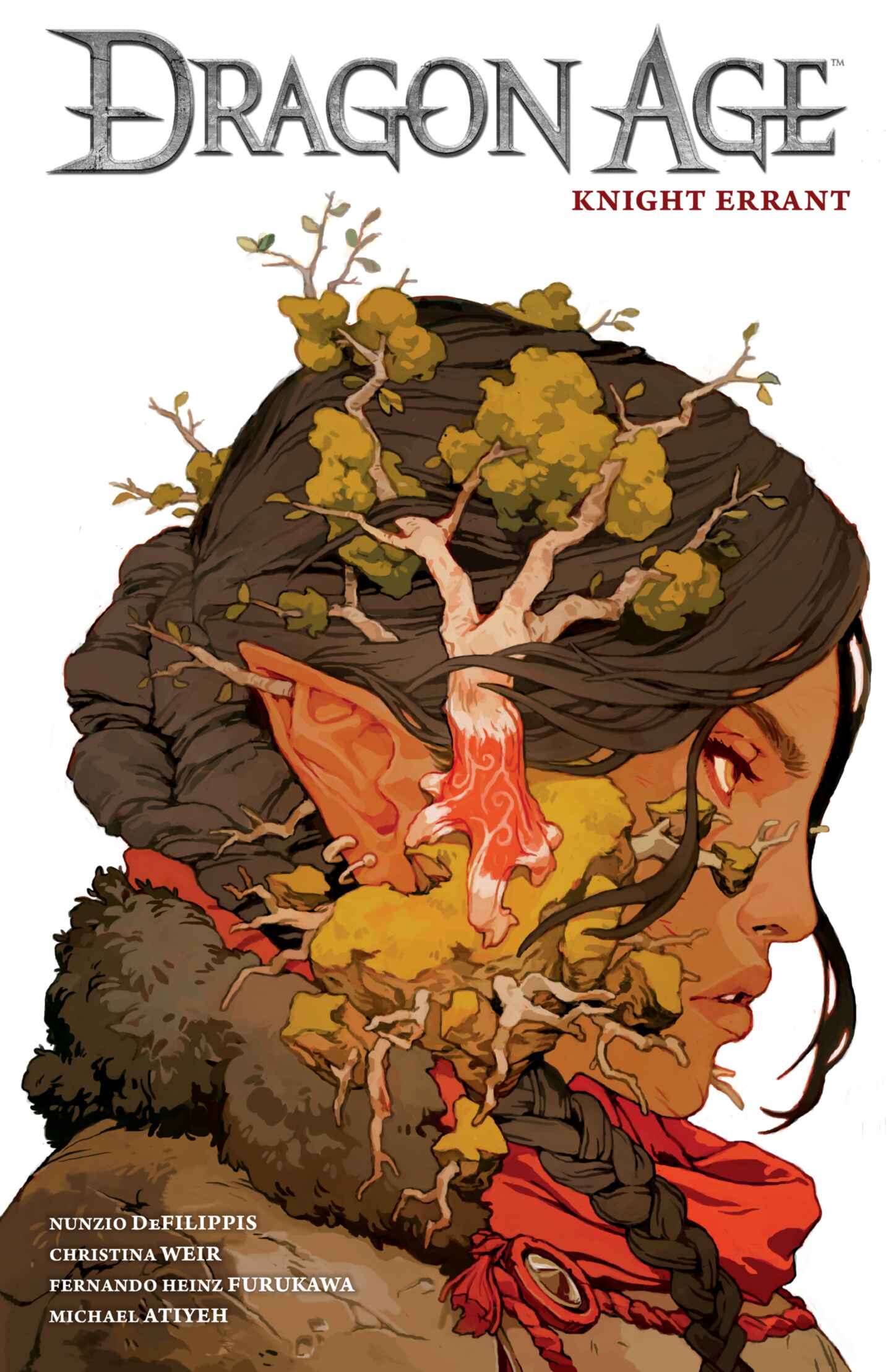 poster for Dragon Age, Knight Errant